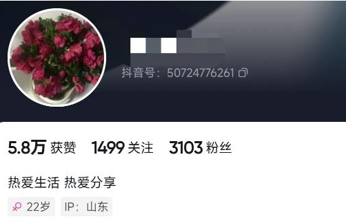 一个作品赚6W+的抖音小程序项目，不用剪辑，一键生成视频，小白也能操作