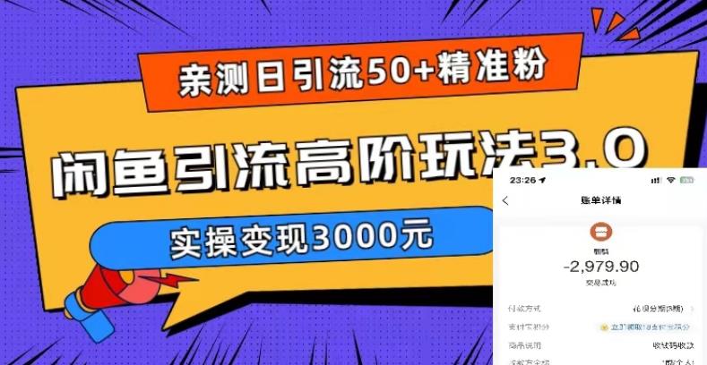 闲鱼引流高阶玩法3.0，亲测日引50+精准粉，实操变现3000元【揭秘】
