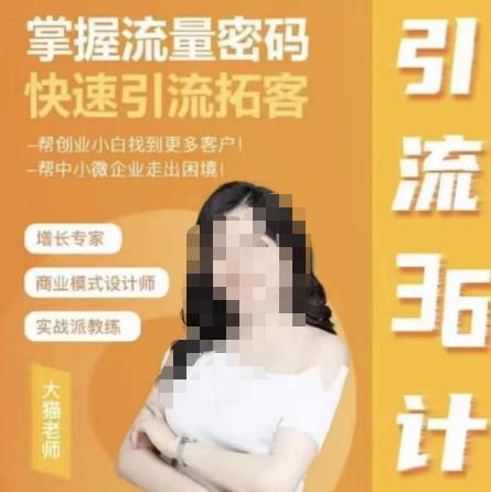 大猫·引流36计，掌握流量密码，快速引流拓客，帮创业新手寻找更多客户，帮小微企业走出困局