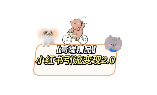 最新小红书引流变现教程，全网最新最详细的视频教程及素材