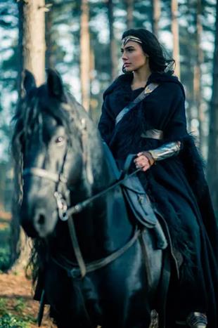 为什么没有人讨厌神奇女侠？