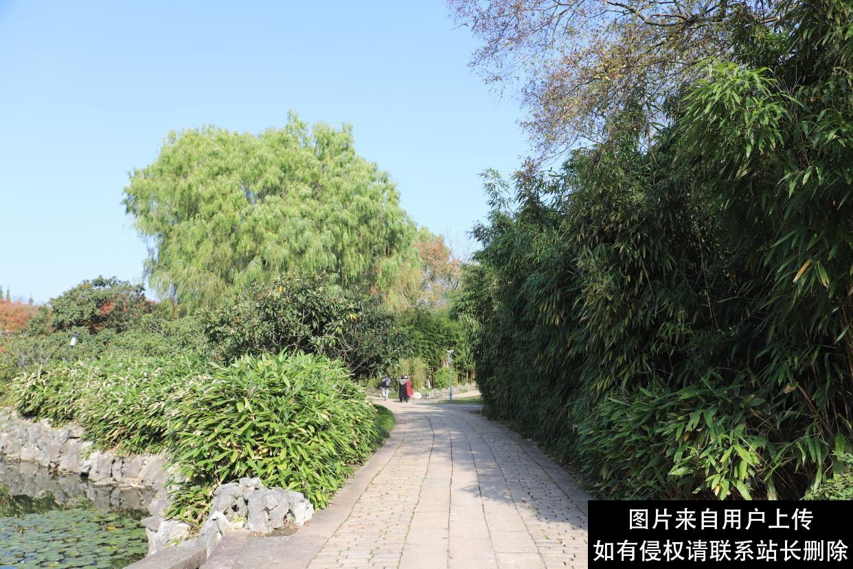 红楼梦中的青浦大观园，是一个红楼文化的参观和游览之地