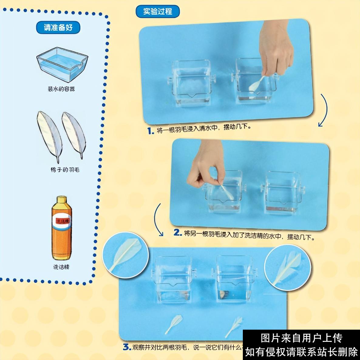 科学启蒙 | 6个趣味家庭小实验，让孩子爱上科学