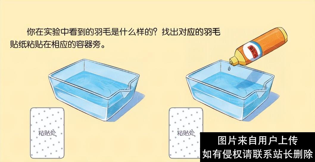 科学启蒙 | 6个趣味家庭小实验，让孩子爱上科学