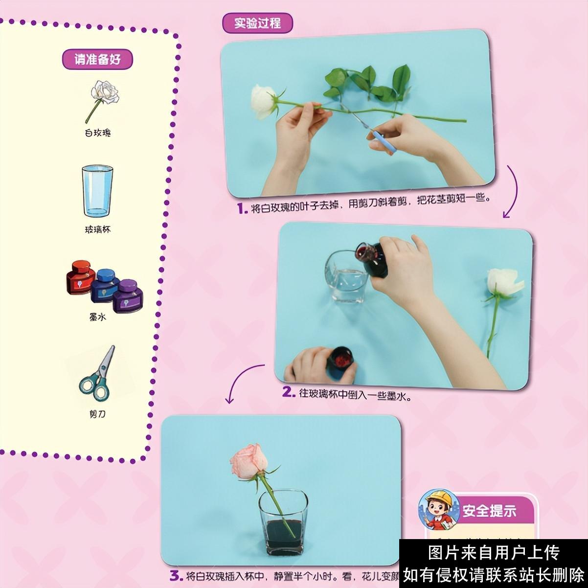 科学启蒙 | 6个趣味家庭小实验，让孩子爱上科学