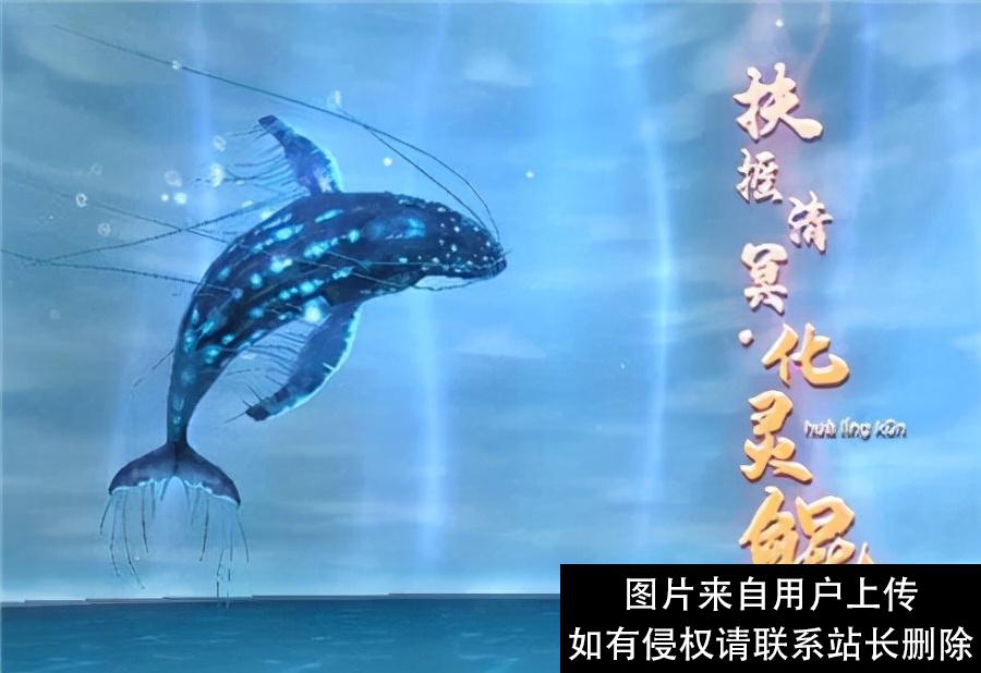 完美世界里的那些境界划分你知道吗？