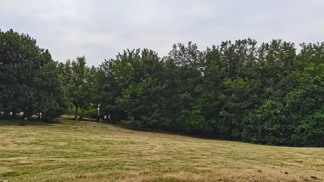 0成本打造一个赚钱的公众号，从注册到推广都不花钱！