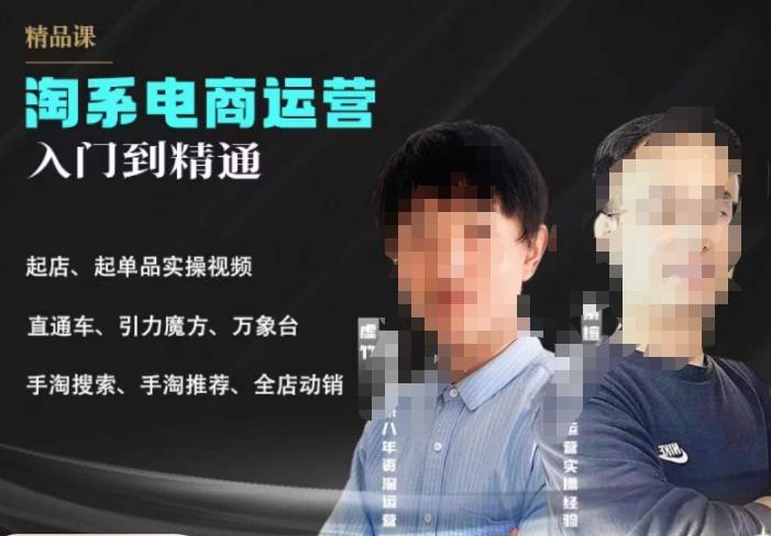 2023手淘搜索体系化课程+实操课，淘系电商从入门到精通，​起店起单品实操课程