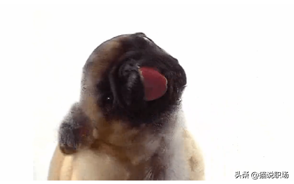 13个看一眼，马上就会收藏的有趣网站！你可能一个都没听过！