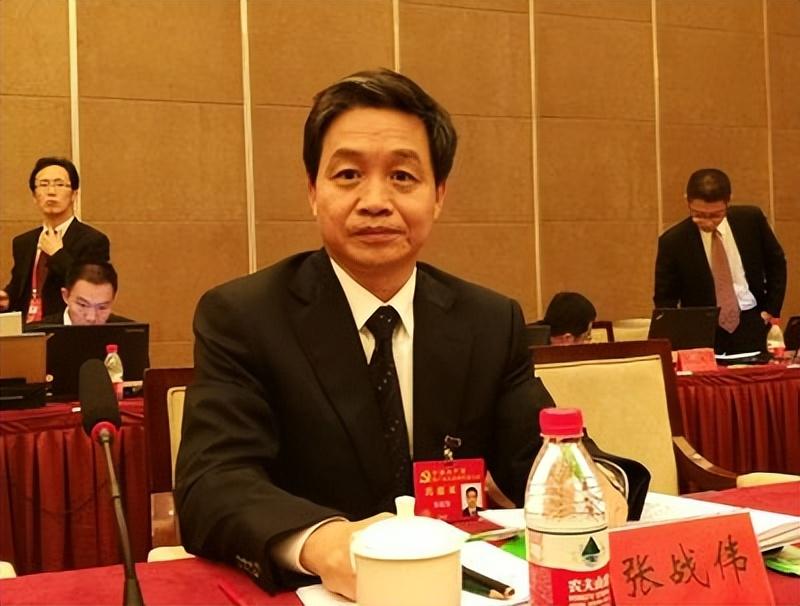 曾经掌掴秘书长的市委书记，提前过上退休生活，涉事三方都输了-张战伟履职