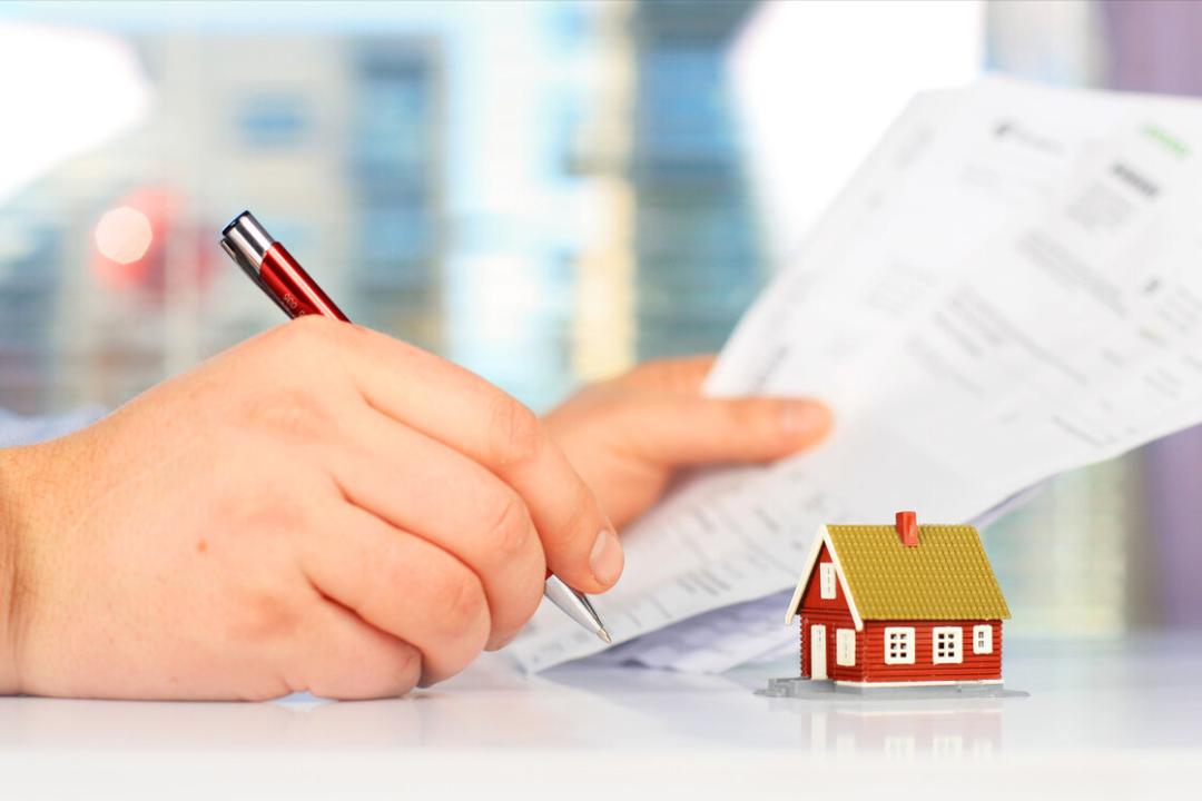 您知道怎么查询案件信息吗？快看这里！（输入名字查案件段吉旗和岳亚平房屋租赁案）