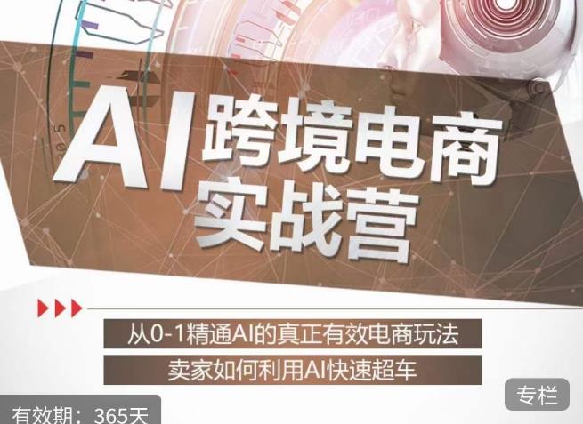 白龙老师·AI跨境电商实战营，帮助卖家从0到1精通AI的真正有效电商玩法，利用AI快速超车