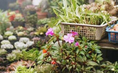 花店创业计划书(大学生版)(从0开始，教你开一家热门花店的全流程！)