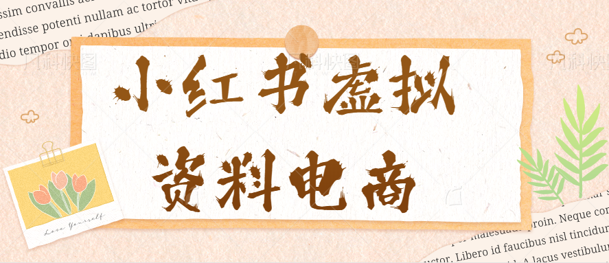小红书虚拟资料电商项目，从0到1实战全流程演示，单号月入1万+【拆解视频】