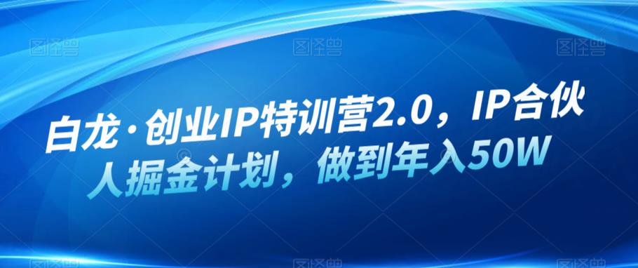 白龙·创业IP特训营2.0，IP合伙人掘金计划，教你如何做到年入50W