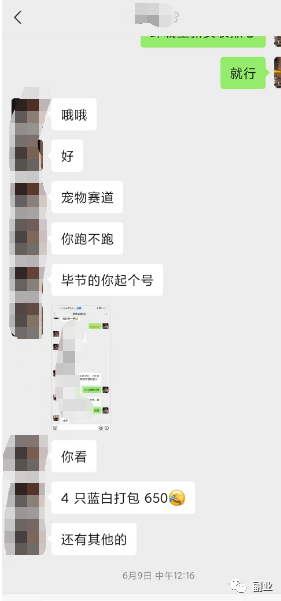 0成本空手套白狼，3天小赚2000块