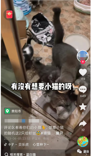 0成本空手套白狼，3天小赚2000块