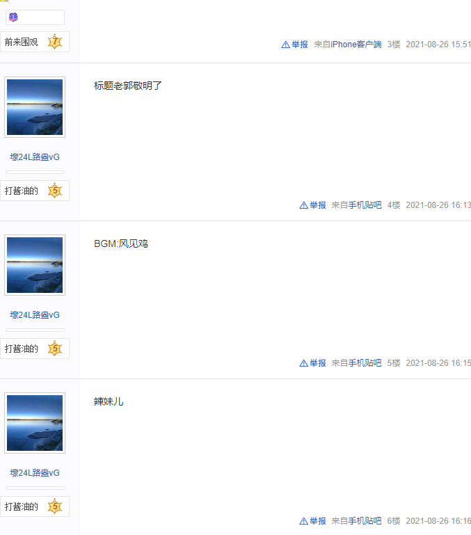 贴吧自动顶贴一天花费多少流量，贴吧引流之顶帖篇，如何利用软件实现自动顶帖