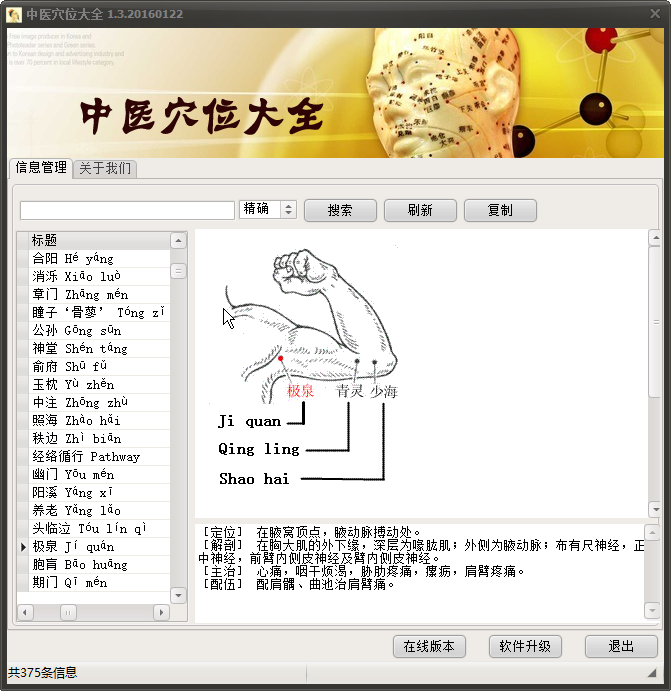 中医穴位查询系统1.4
