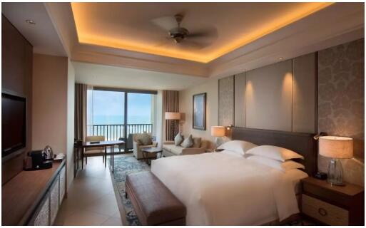 【暴利蓝海项目！酒店优惠券赚钱！】- 旅行必备优惠，驴友福利！