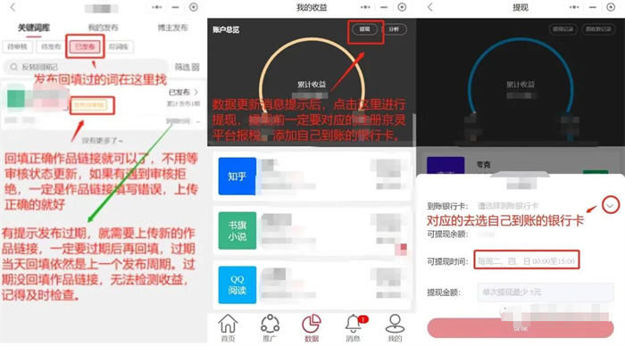 图片[10]-小说推文项目介绍及制作技巧，如何通过抖音等平台实现变现