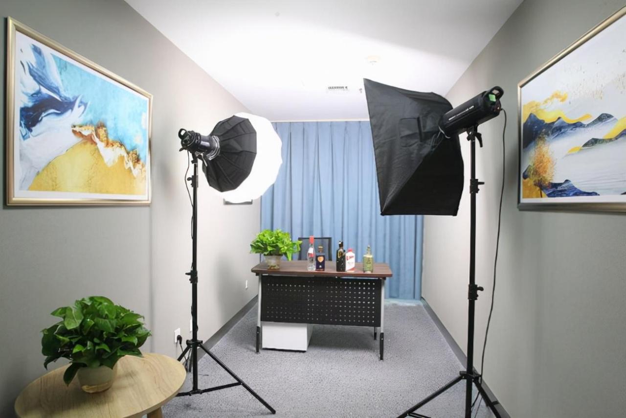 小型直播间装修方案（带货直播间场景布置技巧）