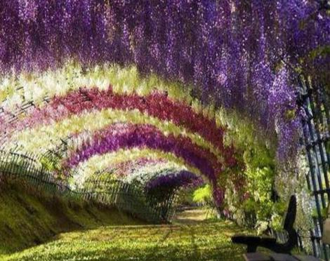 世界最美的十大风景,过目此生难忘的回忆，世界最美的十大风景，过目此生难忘