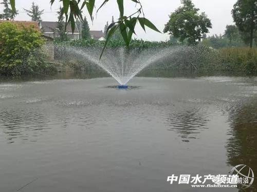 图片[1]-水产溶解氧指标，终于把水产养殖“溶解氧”讲透了，通俗易懂请收藏！-蛙蛙资源网