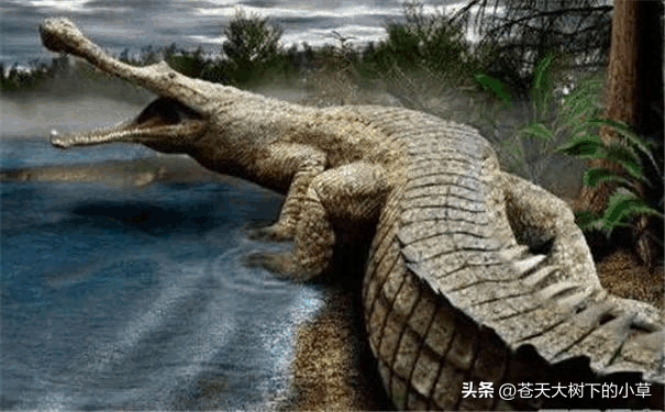 世界上最惨的一只神兽，世界十大史前最凶恶的远古怪兽