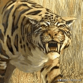 世界上最惨的一只神兽，世界十大史前最凶恶的远古怪兽