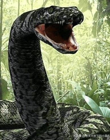 世界上最惨的一只神兽，世界十大史前最凶恶的远古怪兽