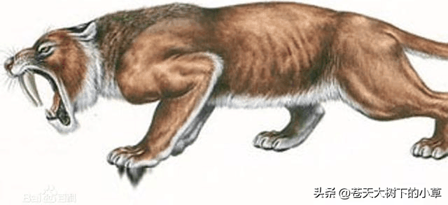 世界上最惨的一只神兽，世界十大史前最凶恶的远古怪兽