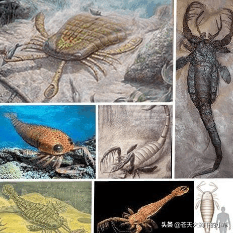 世界上最惨的一只神兽，世界十大史前最凶恶的远古怪兽