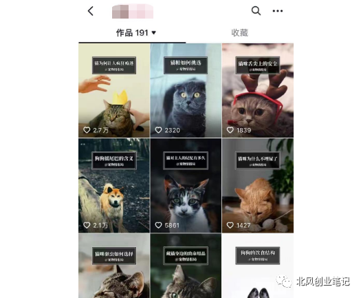 抖音宠物冷知识号：快速涨粉变现，教你如何操作