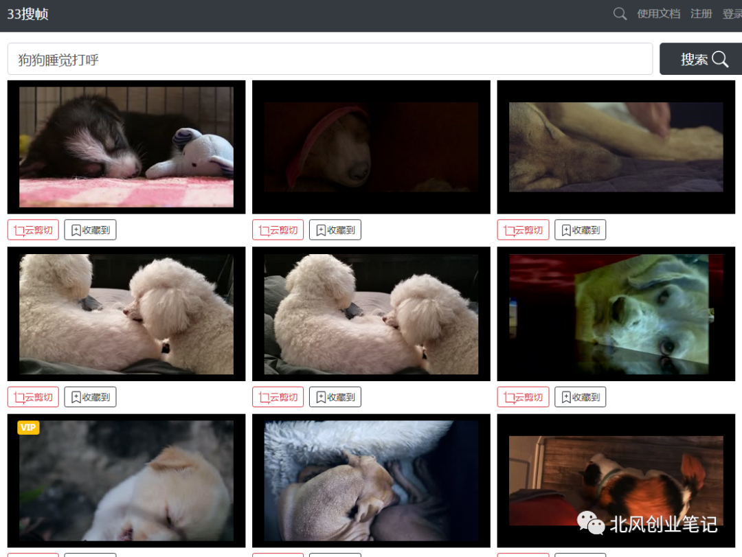 抖音宠物冷知识号：快速涨粉变现，教你如何操作