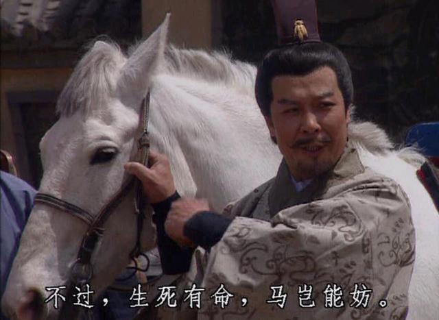 庞统为什么骑的卢马，的卢马真的妨主吗？为何庞统会惨死？刘备一语道破个中玄机