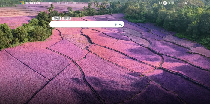 程序员软件推荐，程序员必看的ChatGPT资源大全