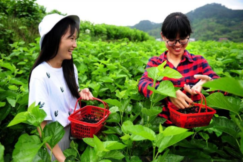 图片[1]-农村如何在家赚钱呢，农村人在家就能挣钱的几个生意项目，男女都行，最好夫妻一起干！-蛙蛙资源网