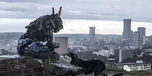 十部顶级科幻电影，这10部电影里的人工智能才让人惊出冷汗！你看过几部？