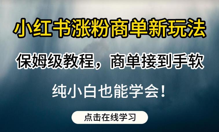 图片[1]-小红书涨粉商单新玩法，保姆级教程，商单接到手软，纯小白也能学会【揭秘】-蛙蛙资源网