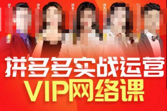 图片[1]-推易拼多多VIP全套直播课程，拼多多店铺实操玩法+实战玩法选款内功+直通车高阶等-蛙蛙资源网