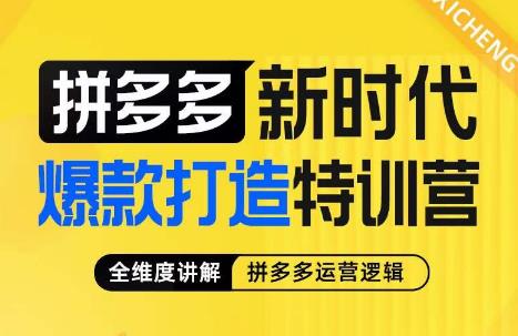 图片[1]-拼多多新时代爆款打造特训营，全维度讲解拼多多运营逻辑-蛙蛙资源网