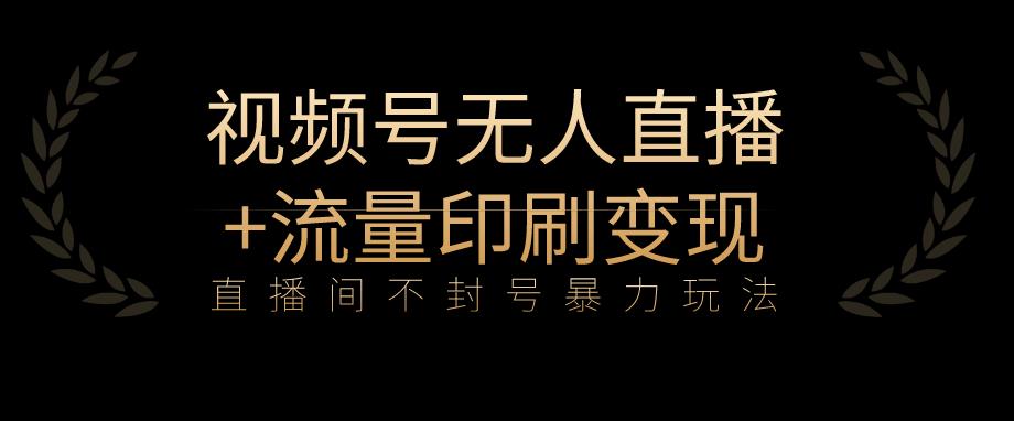 图片[1]-全网首发视频号不封号无人直播暴利玩法+流量印刷机变现，日入1000+【揭秘】-蛙蛙资源网