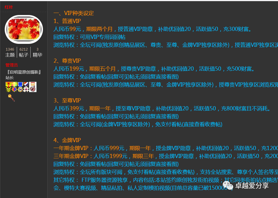 打造一个日赚1000+ 街拍图集站被动收入