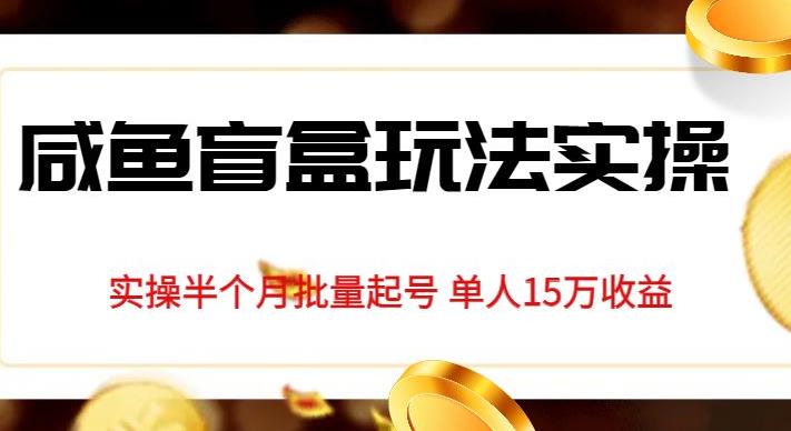 图片[1]-独家首发咸鱼盲盒玩法实操，半个月批量起号单人15万收益【揭秘】-蛙蛙资源网