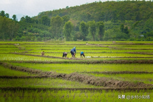 2023年 农村最有前景的几个创业致富好项目，做好一样都能发家致富