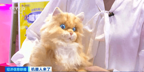 检测摔倒、提醒用药…AI家庭机器人来了！记者探访→