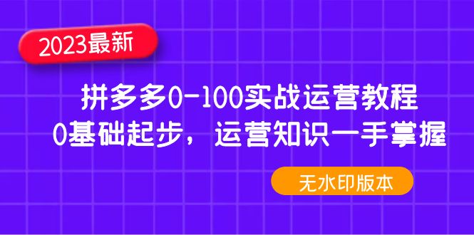 图片[1]-（4835期）2023拼多多0-100实战运营教程，0基础起步，运营知识一手掌握（无水印）-蛙蛙资源网