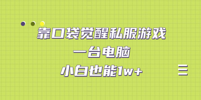 图片[1]-（7113期）靠口袋觉醒私服游戏，一台电脑，小白也能1w+（教程+工具+资料）-蛙蛙资源网