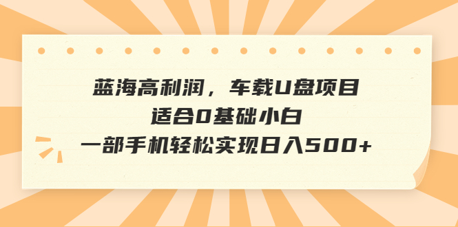 图片[1]-（6600期）蓝海高利润，车载U盘项目，适合0基础小白，一部手机轻松实现日入500+-蛙蛙资源网